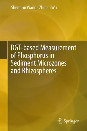 Cover of the book DGT-based Measurement of Phosphorus in Sediment Microzones and Rhizospheres by Jeroen Hendrikse