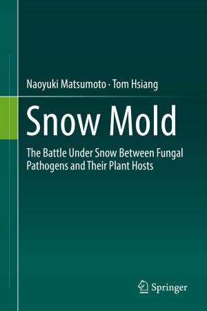 Cover of the book Snow Mold by Stanislav Shekshnia, Kirill Kravchenko, Elin Williams