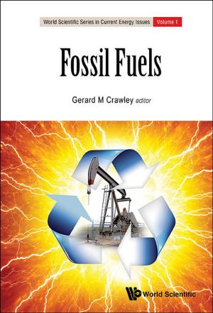 Cover of the book Fossil Fuels by Hailong Li, Fuhuo Li, Nianliang Wang;Shigeru Kanemitsu