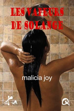 Cover of the book Les vapeurs de Solange by Brigitte Guilhot
