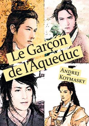 Cover of the book Le Garçon de l'Aqueduc by NM Mass