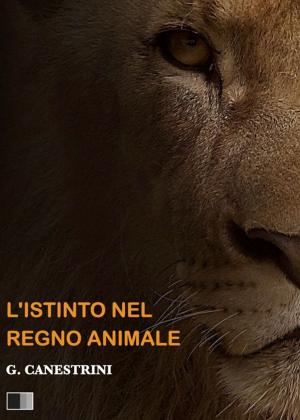 Cover of the book L'istinto nel regno animale by Shaporji Aspaniarji Kapadia