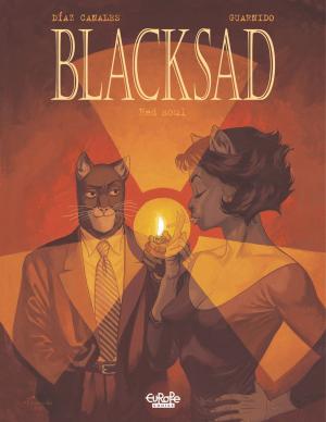 Book cover of Blacksad - Volume 3 - Red Soul