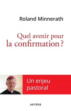 Cover of the book Quel avenir pour la confirmation ? by ALBERT VANHOYE