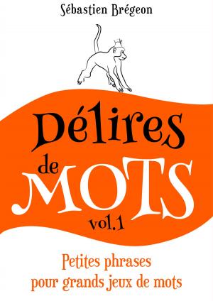 Cover of the book Délires de mots by Jayne Allen