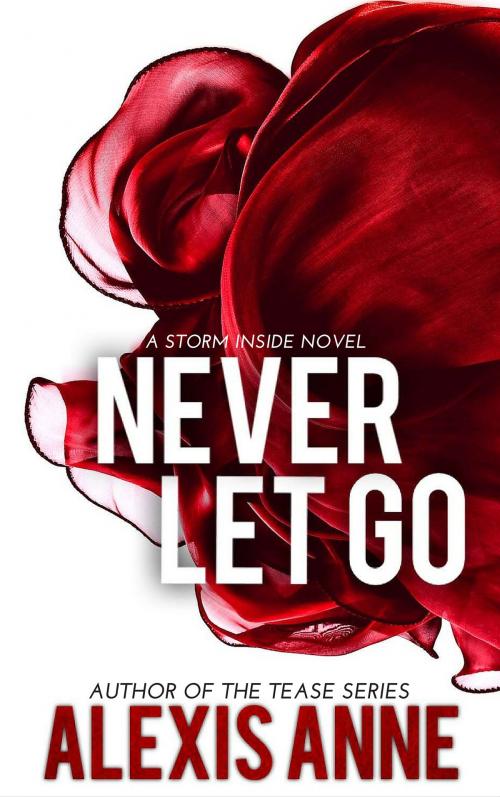 Cover of the book Never Let Go by Alexis Anne, Spinning Compass Publishing