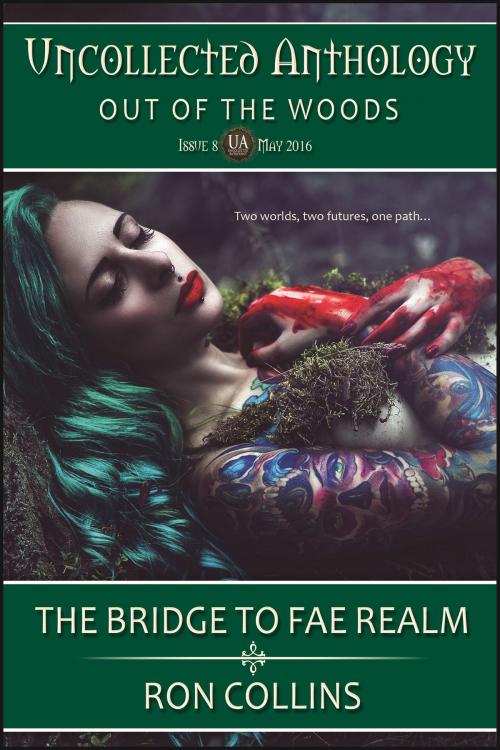 Cover of the book The Bridge to Fae Realm by Ron Collins, Skyfox Publishing