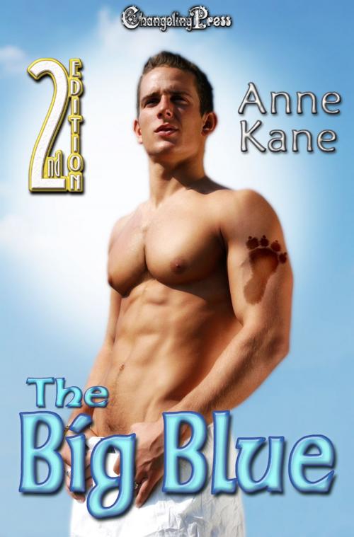 Cover of the book 2nd Edition: The Big Blue by Anne Kane, Changeling Press LLC