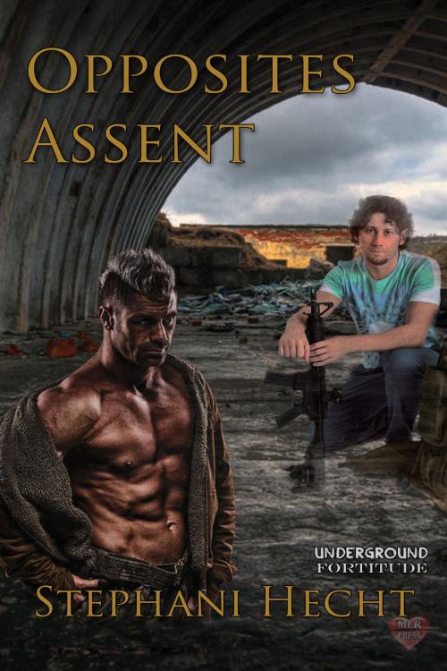 Cover of the book Opposites Assent by Stephani Hecht, MLR Press