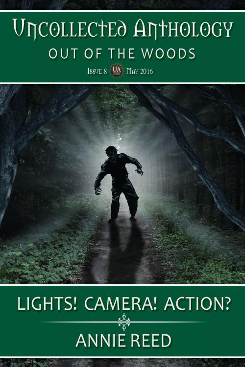 Cover of the book Lights! Camera! Action? by Annie Reed, Thunder Valley Press