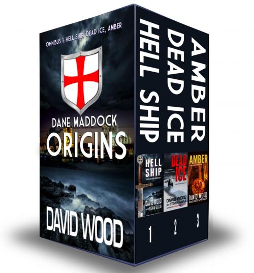 Cover of the book The Dane Maddock Origins- Omnibus 1 by David Wood, Adrenaline Press