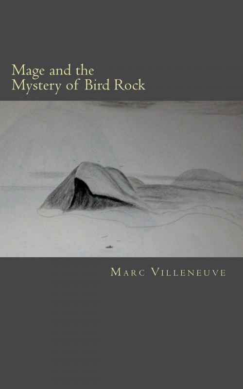 Cover of the book Mage and the Mystery of Bird Rock by Marc Villeneuve, Marc Villeneuve