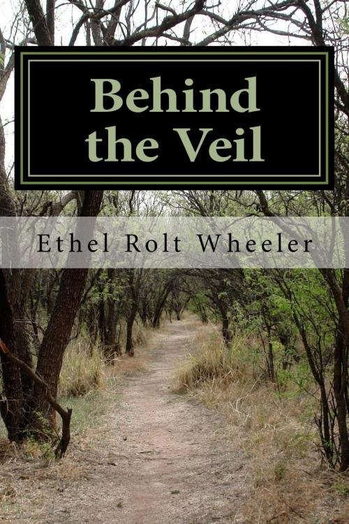 Cover of the book Behind the Veil (Illustrated Edition) by Ethel Rolt Wheeler, Austin O. Spare, Illustrator, Steve Gabany
