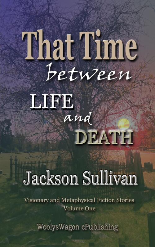 Cover of the book That Time between LIFE and DEATH V1 by Jackson Sullivan, WoolysWagon ePublishing