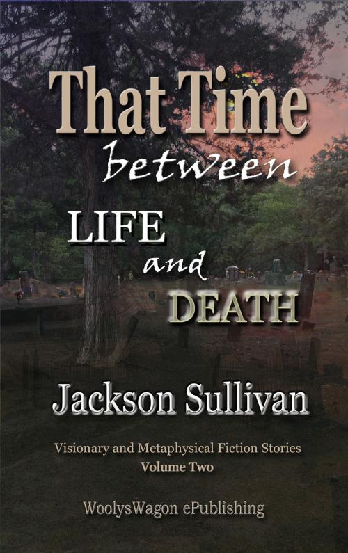 Cover of the book That Time between LIFE and DEATH V2 by Jackson Sullivan, WoolysWagon ePublishing