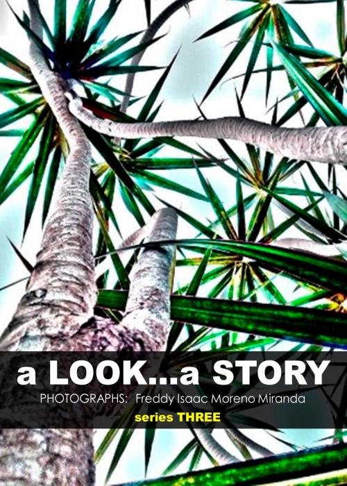 Cover of the book a Look... a Story by Freddy Isaac Moreno Miranda, The Little French eBooks
