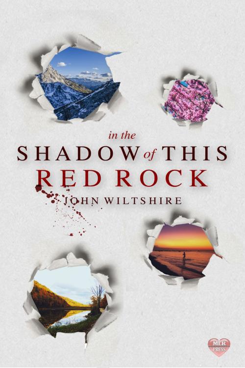 Cover of the book In The Shadow of This Red Rock by John Wiltshire, MLR Press