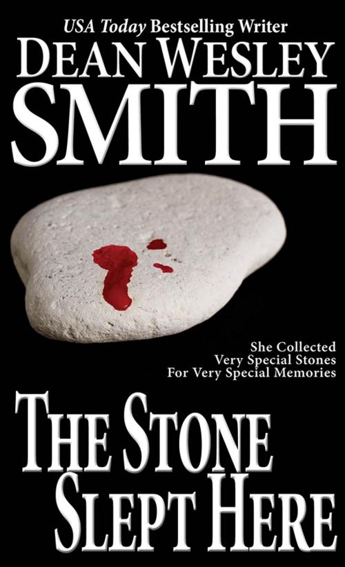 Cover of the book The Stone Slept Here by Dean Wesley Smith, WMG Publishing Incorporated