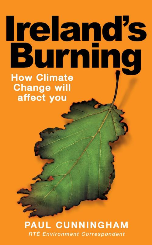 Cover of the book Ireland's Burning by Paul Cunningham, Poolbeg Press Ltd
