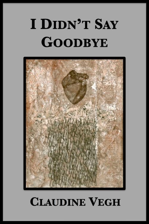 Cover of the book I Didn't Say Goodbye by Claudine Vegh, Ros Schwartz, Plunkett Lake Press