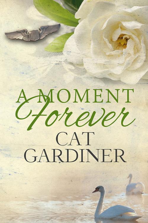 Cover of the book A Moment Forever by Cat Gardiner, Vanity & Pride Press