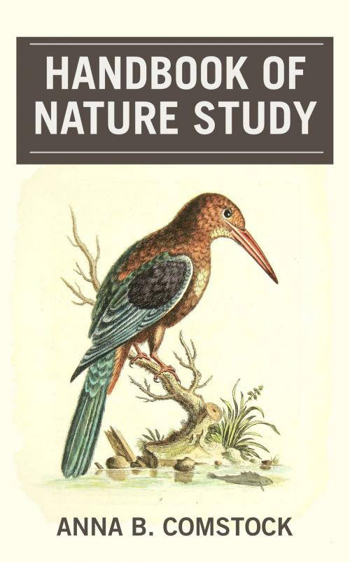 Cover of the book Handbook of Nature Study by Anna Botsford Comstock, Ravenio Books