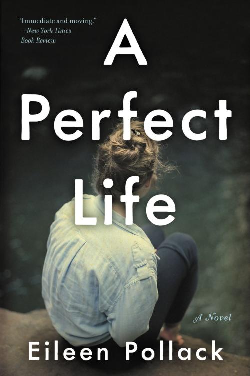 Cover of the book A Perfect Life by Eileen Pollack, Ecco