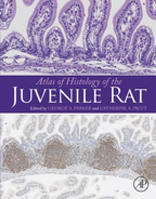 Cover of the book Atlas of Histology of the Juvenile Rat by , Elsevier Science
