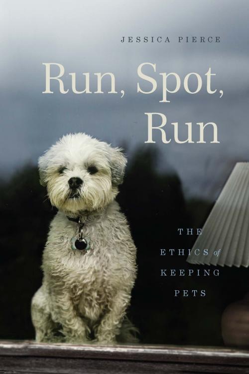 Cover of the book Run, Spot, Run by Jessica Pierce, University of Chicago Press