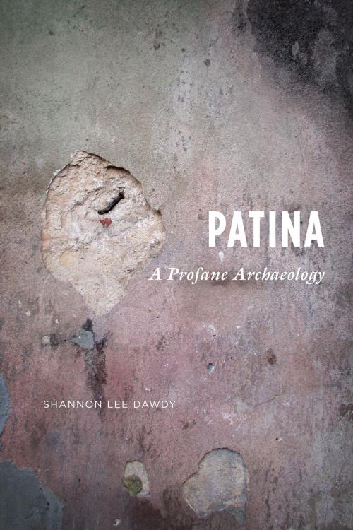 Cover of the book Patina by Shannon Lee Dawdy, University of Chicago Press