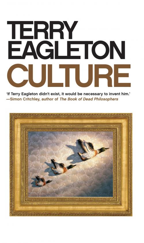 Cover of the book Culture by Terry Eagleton, Yale University Press