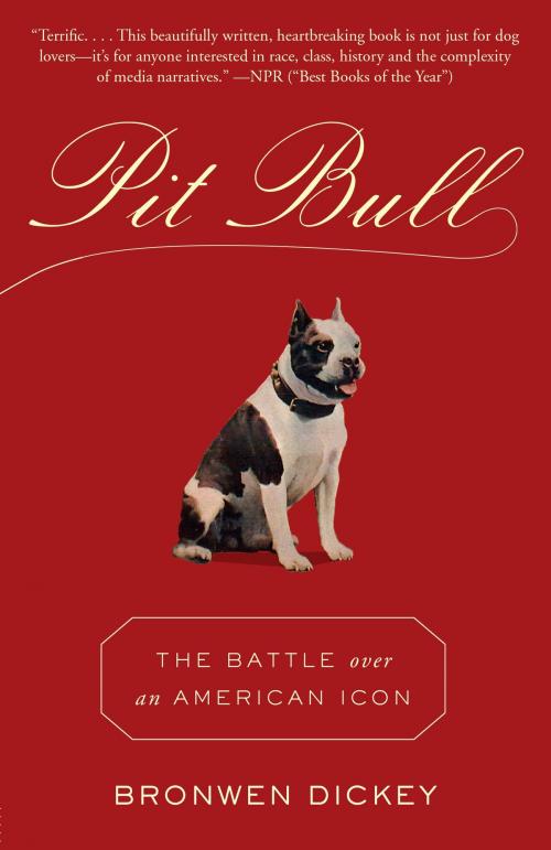 Cover of the book Pit Bull by Bronwen Dickey, Knopf Doubleday Publishing Group