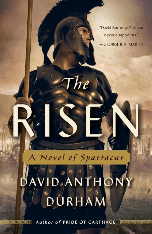Cover of the book The Risen by David Anthony Durham, Knopf Doubleday Publishing Group