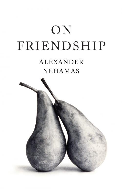 Cover of the book On Friendship by Alexander Nehamas, Basic Books