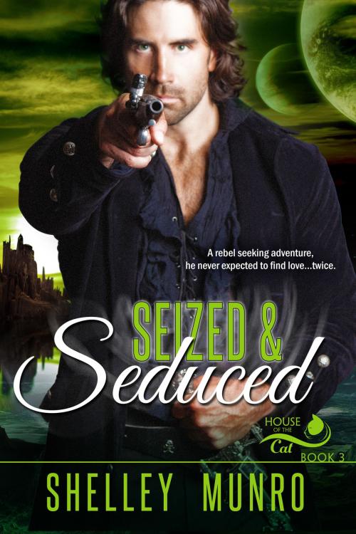 Cover of the book Seized & Seduced by Shelley Munro, Munro Press