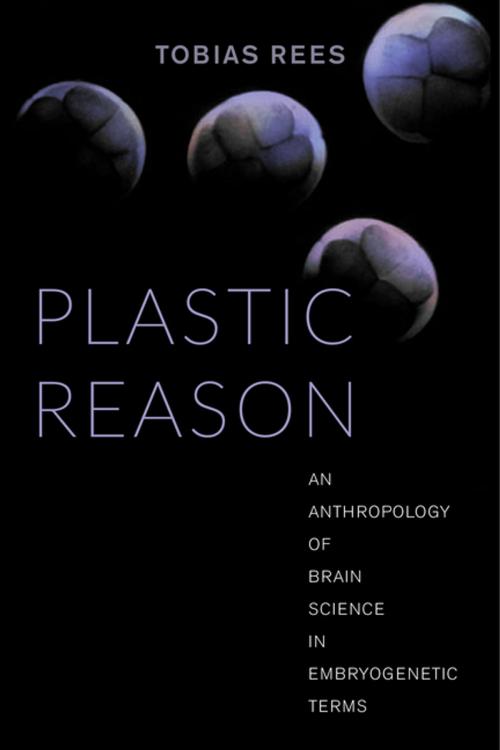 Cover of the book Plastic Reason by Tobias Rees, University of California Press