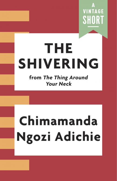 Cover of the book The Shivering by Chimamanda Ngozi Adichie, Knopf Doubleday Publishing Group