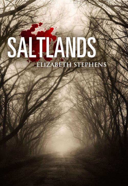 Cover of the book Saltlands, Population #2 (interracial post apocalyptic scifi romance) by Elizabeth Stephens, Elizabeth Stephens