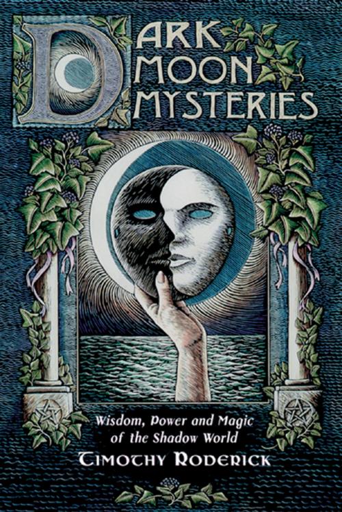 Cover of the book Dark Moon Mysteries by Timothy Roderick, Llewellyn Worldwide, LTD.