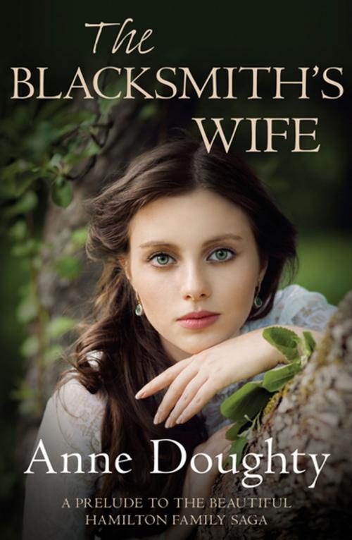 Cover of the book The Blacksmith's Wife by Anne Doughty, Allison & Busby