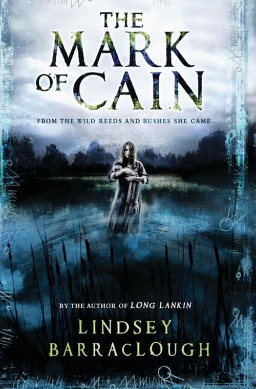 Cover of the book The Mark of Cain by Lindsey Barraclough, Candlewick Press
