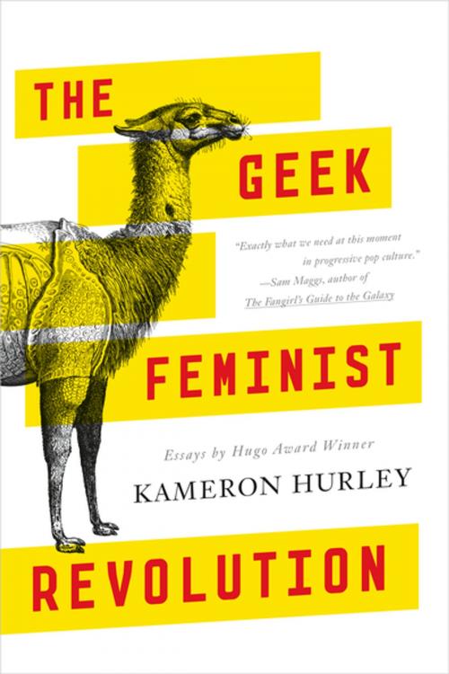 Cover of the book The Geek Feminist Revolution by Kameron Hurley, Tom Doherty Associates