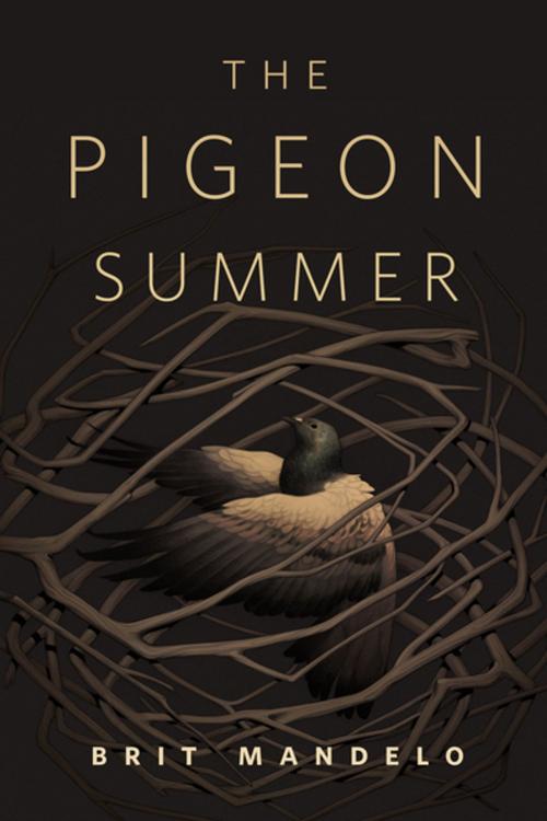 Cover of the book The Pigeon Summer by Brit Mandelo, Tom Doherty Associates