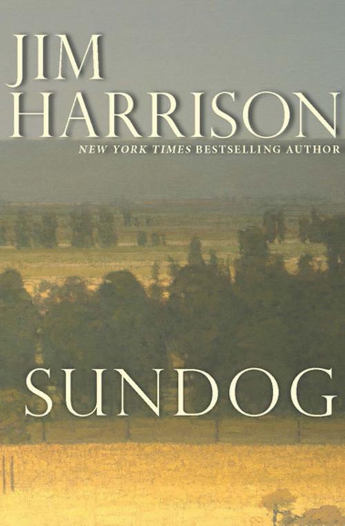 Cover of the book Sundog by Jim Harrison, Grove Atlantic