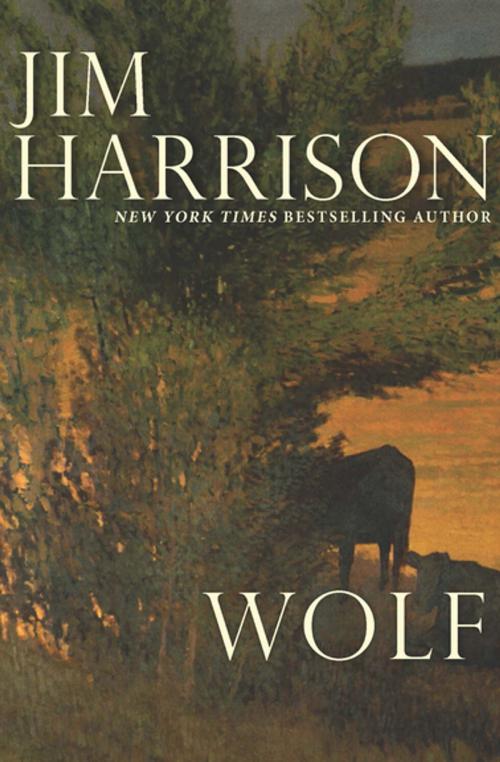 Cover of the book Wolf by Jim Harrison, Grove Atlantic