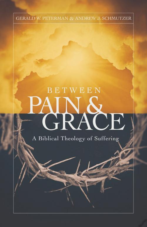 Cover of the book Between Pain and Grace by Gerald Peterman, Andrew Schmutzer, Moody Publishers