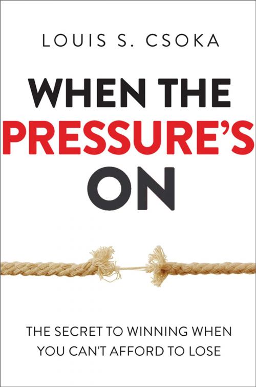Cover of the book When the Pressure's On by Louis Csoka, AMACOM