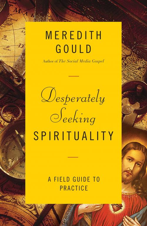 Cover of the book Desperately Seeking Spirituality by Meredith Gould, Liturgical Press