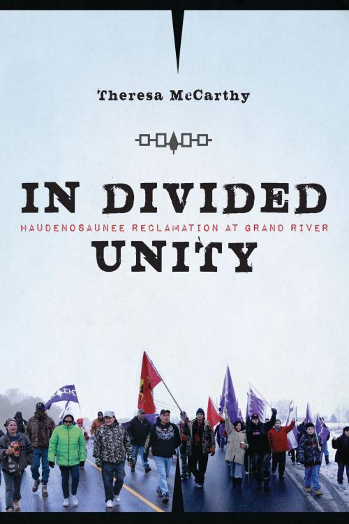 Cover of the book In Divided Unity by Theresa McCarthy, University of Arizona Press