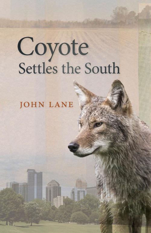 Cover of the book Coyote Settles the South by John Lane, University of Georgia Press